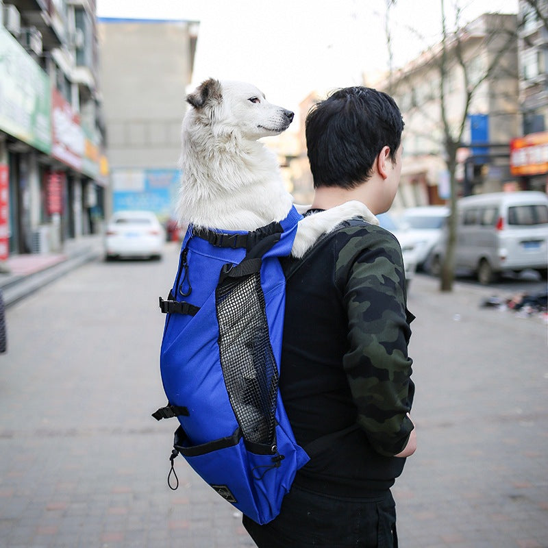 Pet Carrier Backpack